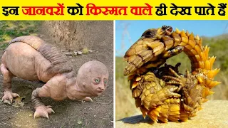 ऐसे अजीबोगरीब जानवर 100 साल में एक बार ही दिखते_Animals Born Once in a Hundred Years