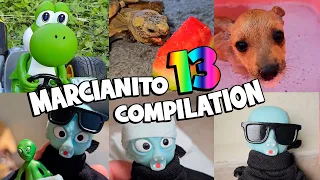 🤪 MARCIANITO TEMPORADA 13 🤣 (En Orden) COMPILATION #shorts #funny #viral #serie #animals #humor