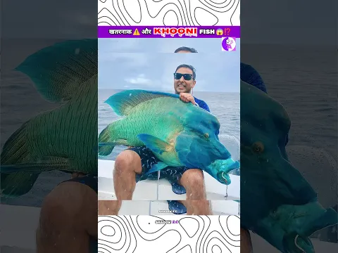 खतरनाक ⚠️Giant Fish 😱⁉️ #shorts#youtubeshorts#viral#trending#funny#animals#fish#india#new#fun#top