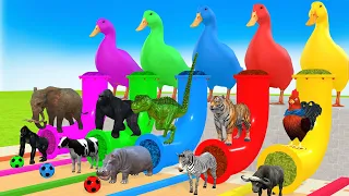 Long Slide Game With Elephant Gorilla Buffalo Hippopotamus Tiger - 3d Animal Game - Funny 3d Animals