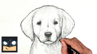 How to Draw a Golden Lab Puppy | Easy Dog Sketch Tutorial