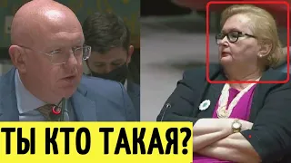 У вас нет прав! Небензя ПОРВАЛ в ООН представителя Боснии и Герцеговины