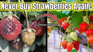 Stop Making This Strawberry Growing Mistake Now!