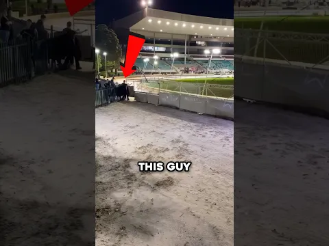 How To Stop A Greyhound Race 😳 (@thegreyhoundgirl)