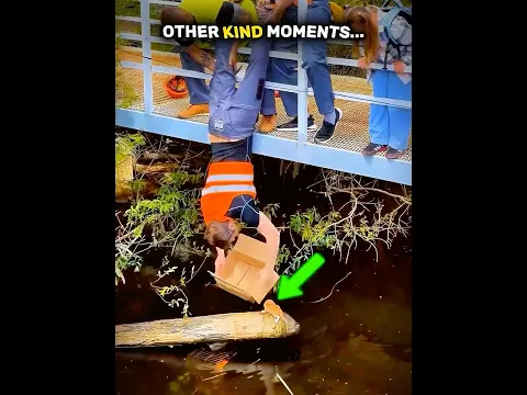 Other Kind Moments VS This King 👑