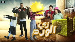 كليب زى الورد ( أنتم أخباركم أية !! ) أمنية القوة & السندرلار غزل & محمود الجمل  clip 2024