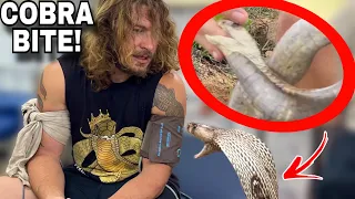 Surviving Cobra BITE! *INDIA SERIES FINALE*