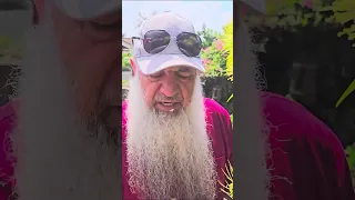 سمعتم بالنحل القزم من قبل ؟؟