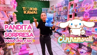HICIMOS UN PANDITA DE CINNAMOROLL PARA UNA FAN ✨😍| Nueva seccion en Tokio Kawai