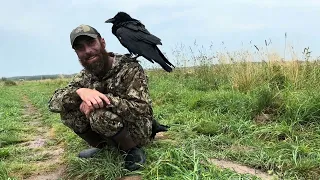Первая встреча с Артуром и его бандой  / Ворон Гоша в Тверской области