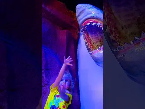 Mila's SHOCKING Shark Encounter! 🦈 Animals for kids #kidsshorts #zoo