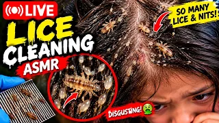 LICE CLEANING LIVE 🔴🪳