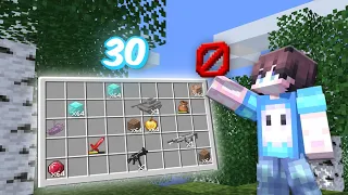 30 Hal KECIL Yang TIDAK KALIAN SADARI Tapi BERGUNA Di Minecraft