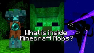 What is inside Minecraft Mobs?