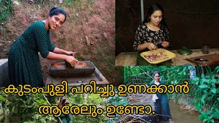 കുടംപുളി പറിച്ചു ഉണക്കാൻ എന്നെ സഹായിക്കാൻ ആരേലും ഉണ്ടോ.... കുറച്ച് പുളിയും തരാട്ടോ/saranya's beauty