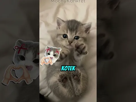 Prawdziwa LAWA kontra WODA! Wynik tego starcia totalnie szokuje 💧🔥