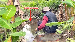 Mancing di parit perkebunan pisang ikannya rakus-rakus🥰 #indo1team