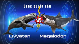 Megalodon vs Livyatan Melvillei con nào sẽ thắng? | Mộc Quốc