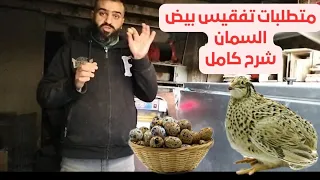 متطلبات تفقيس بيض السمان شرح كامل