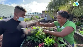 TUTORIEL / PREPARATION DE L’ENGRAIS DE POISSON AVEC MOETINI MOUTAME 2ème VICE-PRESIDENT DE LA CAPL.
