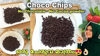 ഒറ്റ ചേരുവ😍👌🏻ചോക്ലേറ്റ് വേണ്ട, കൊക്കോ പൗഡർ വേണ്ട🤩|| Chocolate Chips at HOME || Choco Chips Malayalam