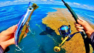 Un leurre énorme pour pêcher le géant exotique du grand large en Guadeloupe !!