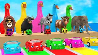 Long Slide Game With Cow Elephant Gorilla Hippopotamus Tiger - 3d Animal Game - Funny 3d Animals