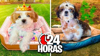 VIREI BABÁ PET POR UM DIA INTEIRO - Socorro!