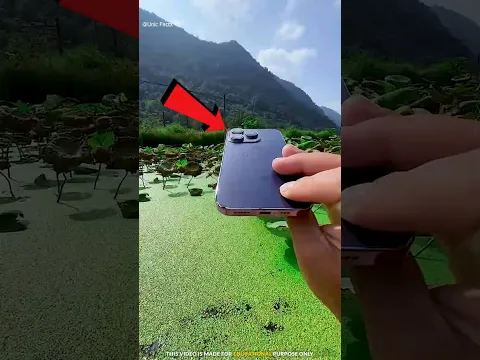 #reverse