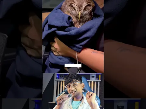 The owl proved karma is 100% real #millionairemindset #motivation #mukeshsurya