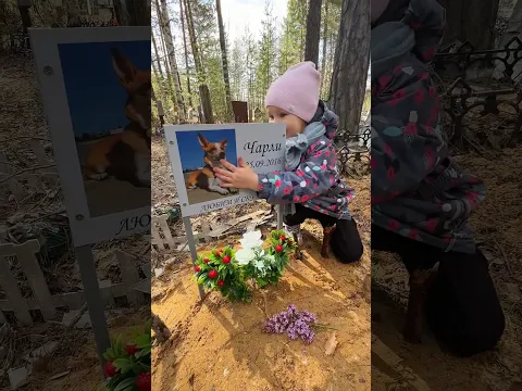 НАВЕСТИЛИ ЧАРЛИ...😭😭😭 #каринанямнями #блогер