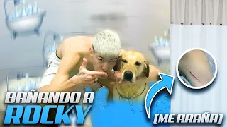TERRIBLE BAÑO HUMILDE A ROCKY 🛀🐶💦 * me rasguña el brazo *