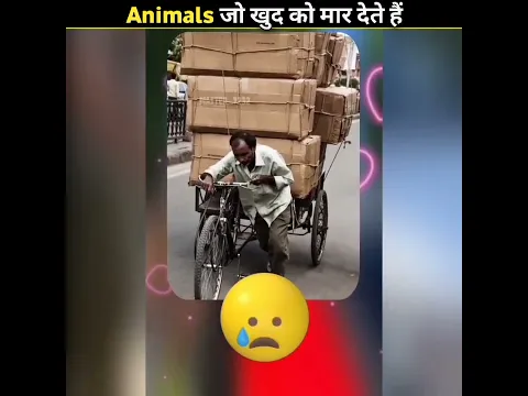 Animals जो खुद को ही मार देते हैं  PART -2 #shorts #shortvideo