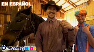 Blippi en el Rancho | Aprende con Blippi | @BlippiEspañol  | Moonbug Kids Parque de Juegos