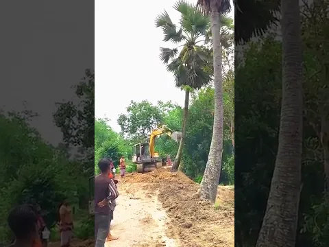 তালগাছটি উঠে দাঁড়ালো।