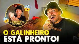 A MANSÃO DAS GALINHAS