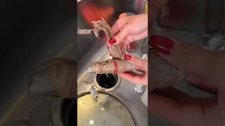 Home Owners Left In Shock After Finding This!