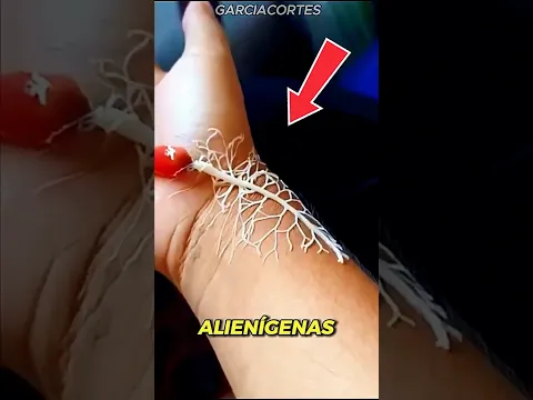 3 Criaturas que parecen ALIENÍGENAS pero son REALES." 👽👾#datoscuriosos #animals #naturaleza