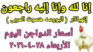 أسعار الدواجن اليوم | أسعار الفراخ البيضاء اليوم | الثلاثاء ١٨-١-٢٠٢٢ في مصر