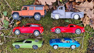 Review Various Diecast Cars in Hands in The Forest
