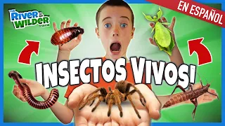 Jugando con BICHOS GIGANTES y una TARANTULA??