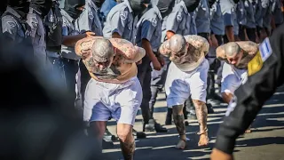 PARTE 4 | Masivo Traslado de Pandilleros en El Salvador | REGISTRO en la Megacárcel