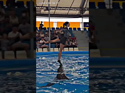 الدولفين يتوتر..والجمهور يتفاعل🐬