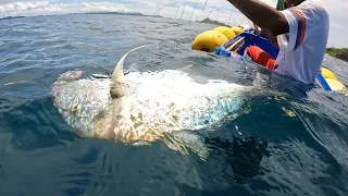 22.5kL Golden Trevally Grabe Ang Lalakas Lumaban