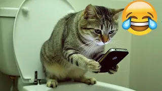 Try Not To Laugh 🧆 Funniest Cats & Dogs 😻 Funny Animals