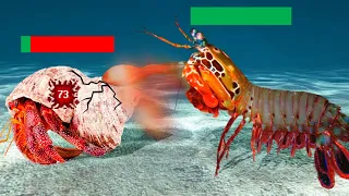 The Crustacean Tier List