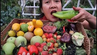 ĂN TRÁI VƯỜN NHÀ HÁI DÂU TÂY MÊ SAY TRÁI ỚT CAY GIANT,DƯA HẤU,CÀ CHUA ĐEN,BÍ NGÒI,