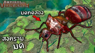 มดธรรมชาติ vs มดตัดต่อพันธุกรรม - Empire of the undergrowth ไทย