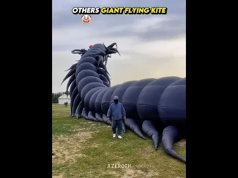 The Last Kite Was Insane 💀