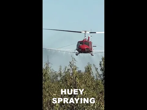 Vietnam veteran helicopter spraying almond trees #shorts